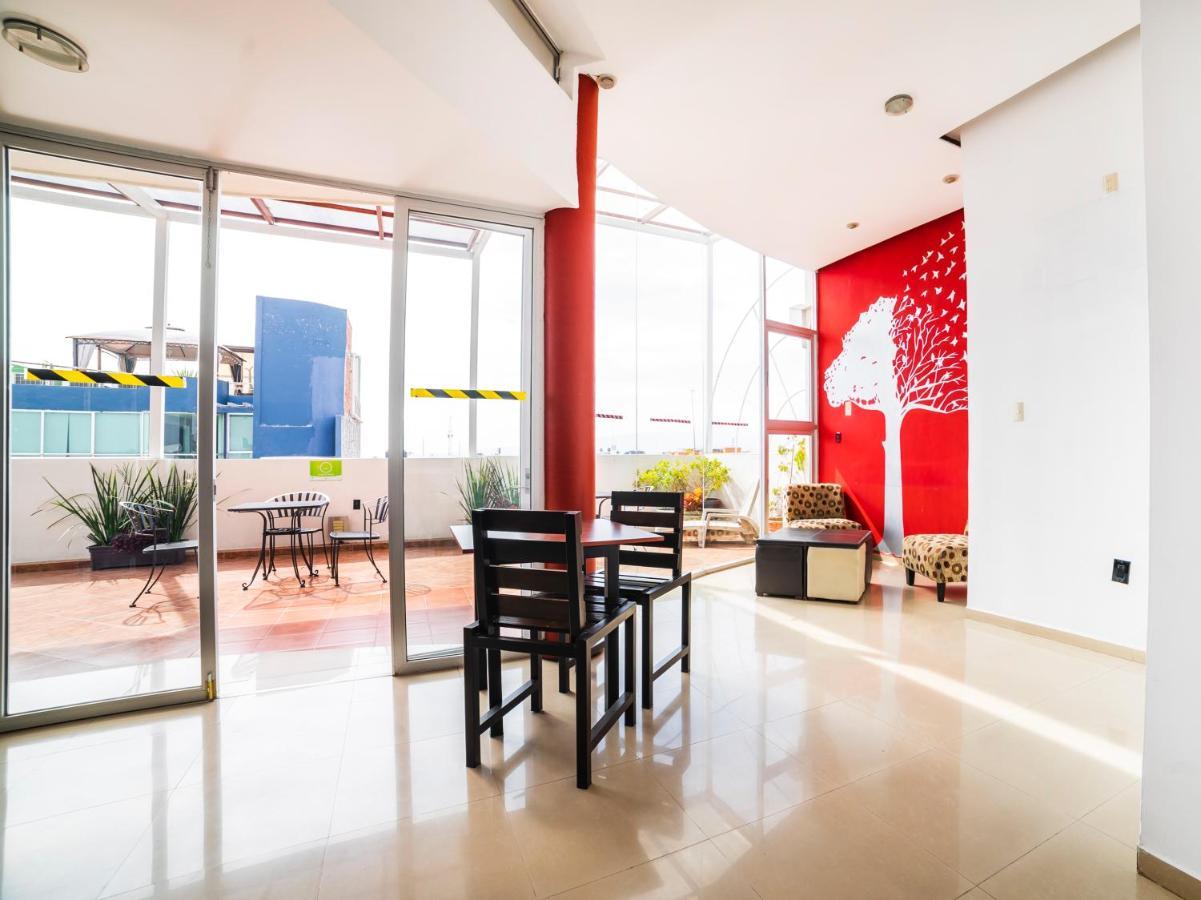 Hotel Hc Celaya  Bagian luar foto